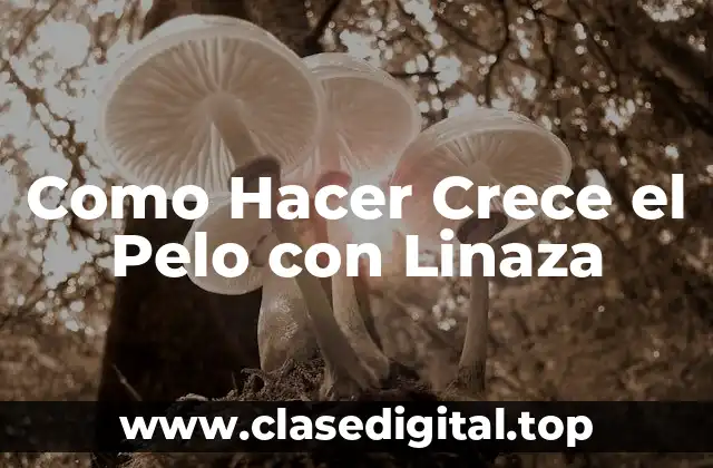 Como Hacer Crece el Pelo con Linaza