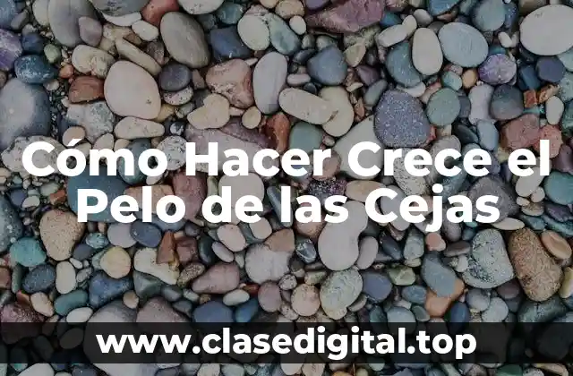 Cómo Hacer Crece el Pelo de las Cejas