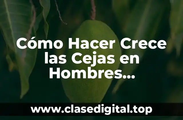 Cómo Hacer Crece las Cejas en Hombres Naturalmente