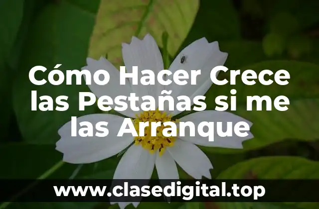 Cómo Hacer Crece las Pestañas si me las Arranque