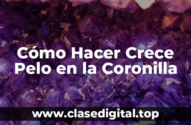 Cómo Hacer Crece Pelo en la Coronilla