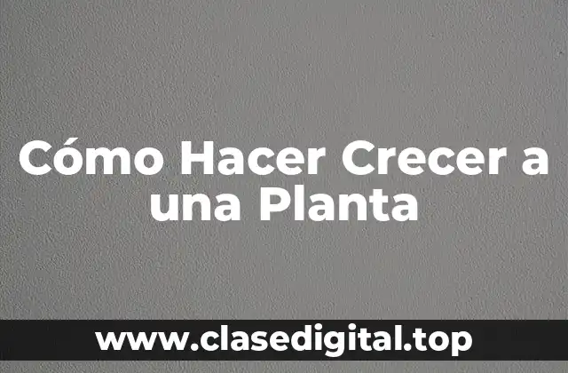 Cómo Hacer Crecer a una Planta