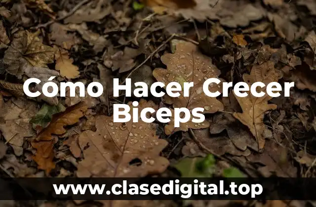 Cómo Hacer Crecer Biceps