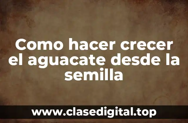 Como hacer crecer el aguacate desde la semilla