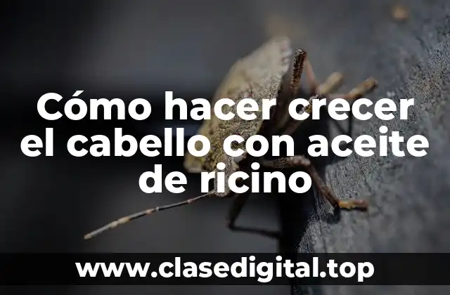 Aceite de ricino para el crecimiento del cabello: ¿qué es y para qué sirve?