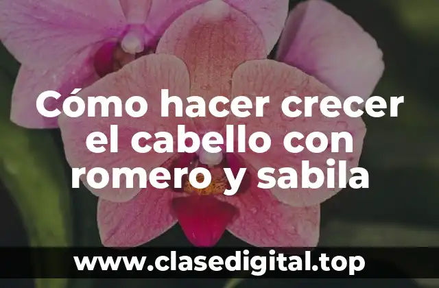 Cómo hacer crecer el cabello con romero y sabila