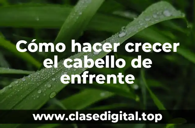 ¿Qué es el crecimiento del cabello de enfrente y por qué es importante?