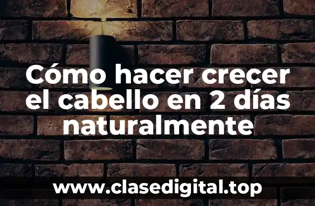 Cómo hacer crecer el cabello en 2 días naturalmente