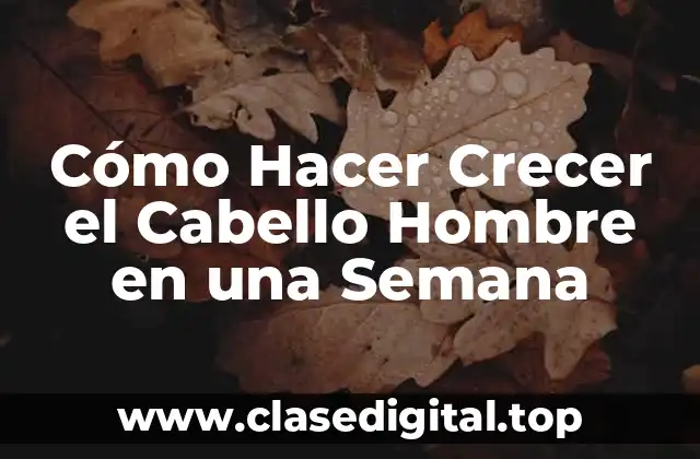 ¿Qué es el Crecimiento del Cabello y por qué es Importante para los Hombres?