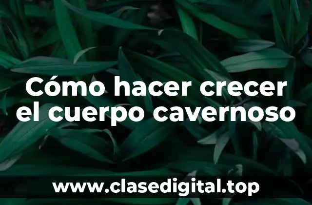 ¿Qué es el cuerpo cavernoso y para qué sirve?