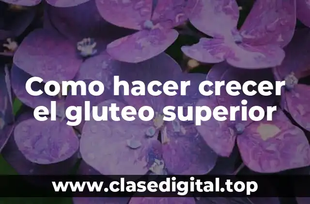 Como hacer crecer el gluteo superior