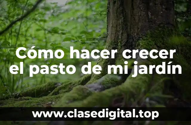 Cómo hacer crecer el pasto de mi jardín