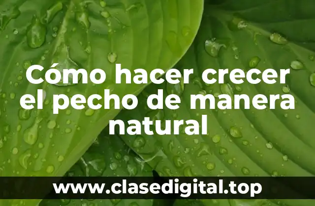 Cómo hacer crecer el pecho de manera natural