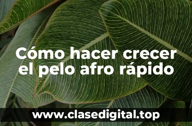 Cómo hacer crecer el pelo afro rápido