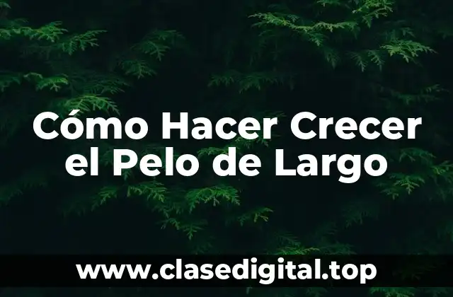 Cómo Hacer Crecer el Pelo de Largo
