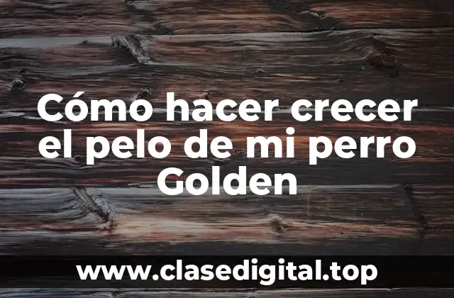 Cómo hacer crecer el pelo de mi perro Golden