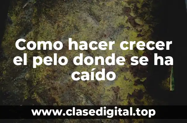 Como hacer crecer el pelo donde se ha caído