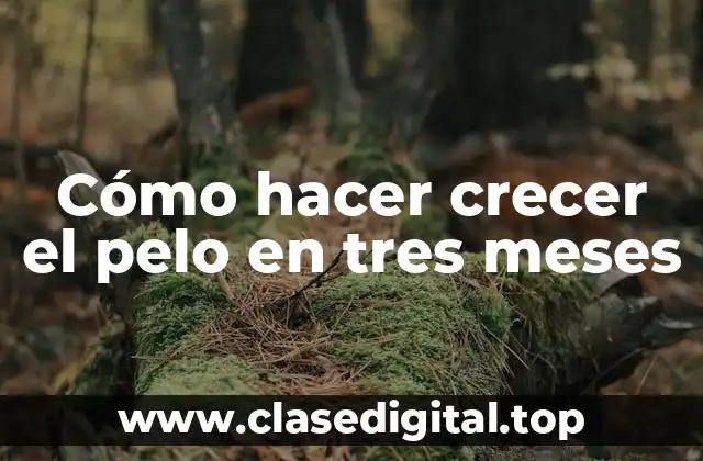 Cómo hacer crecer el pelo en tres meses