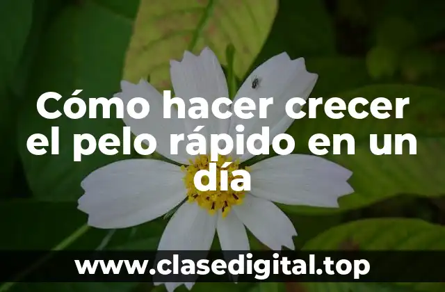 Cómo hacer crecer el pelo rápido en un día