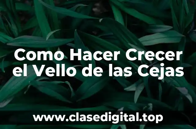 Como Hacer Crecer el Vello de las Cejas
