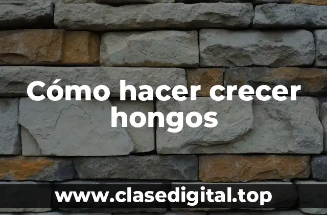 Cómo hacer crecer hongos