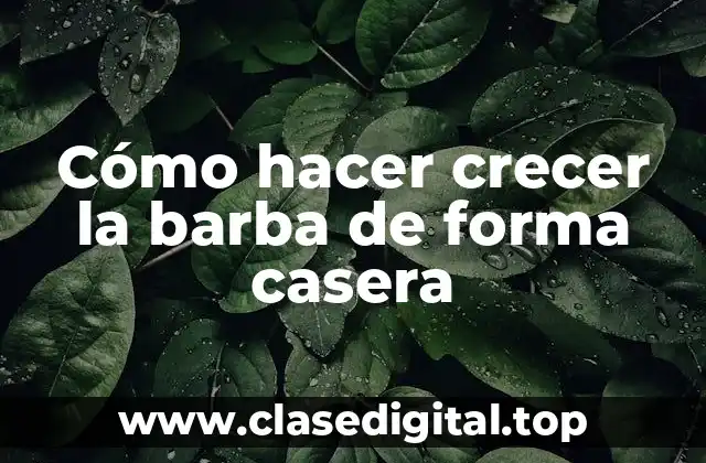 Cómo hacer crecer la barba de forma casera