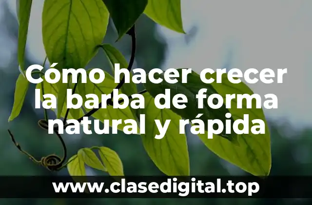 Cómo hacer crecer la barba de forma natural y rápida