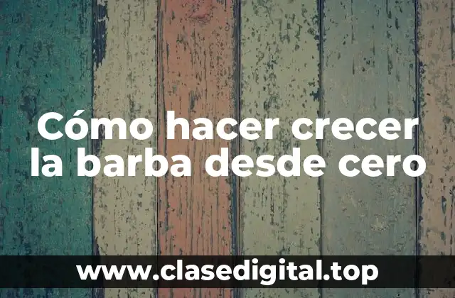 Cómo hacer crecer la barba desde cero