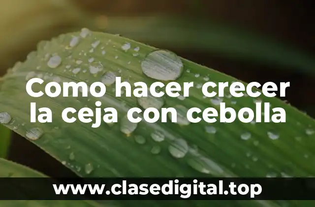 Como hacer crecer la ceja con cebolla