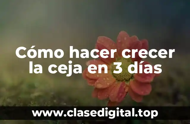 Cómo hacer crecer la ceja en 3 días
