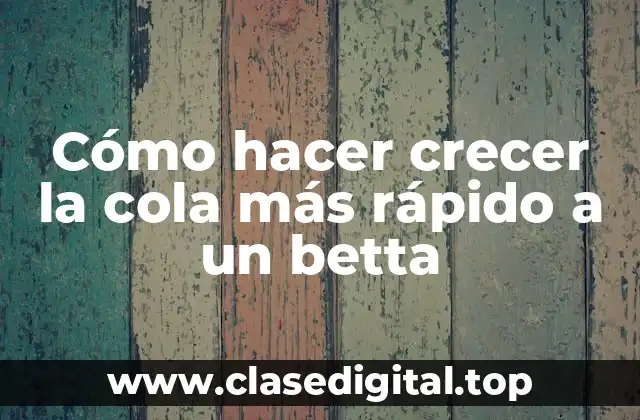Cómo hacer crecer la cola más rápido a un betta