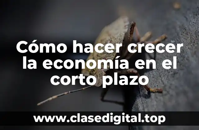 Cómo hacer crecer la economía en el corto plazo