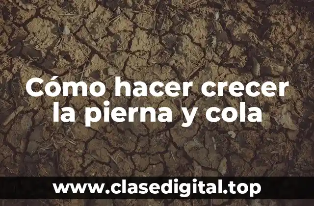 Cómo hacer crecer la pierna y cola
