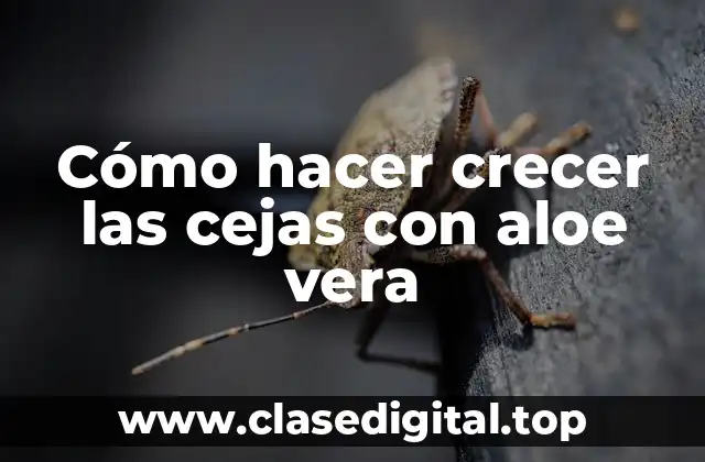 Cómo hacer crecer las cejas con aloe vera