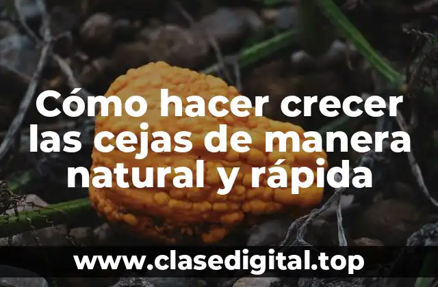 Cómo hacer crecer las cejas de manera natural y rápida