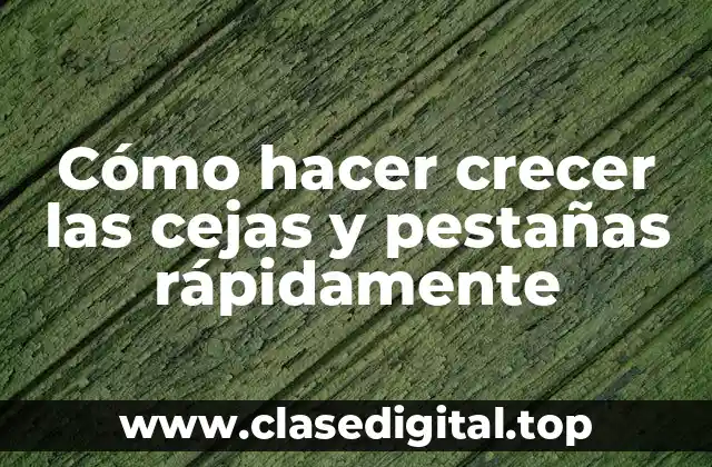 Cómo hacer crecer las cejas y pestañas rápidamente