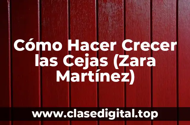 Cómo Hacer Crecer las Cejas (Zara Martínez)