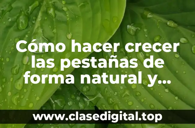 Cómo hacer crecer las pestañas de forma natural y rápida