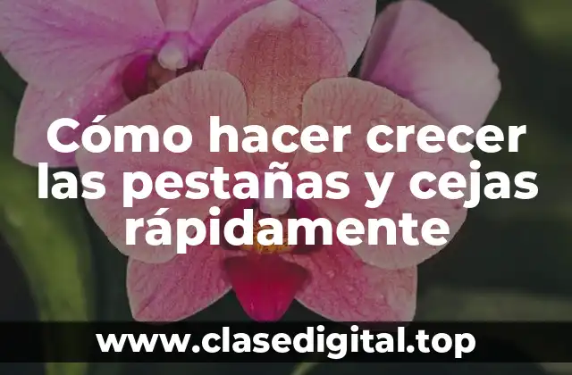 Cómo hacer crecer las pestañas y cejas rápidamente