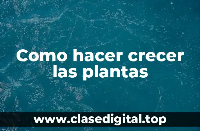 Como hacer crecer las plantas
