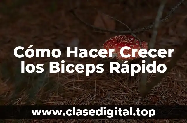 Cómo Hacer Crecer los Biceps Rápido