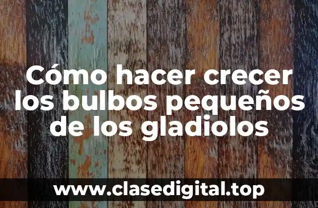 Cómo hacer crecer los bulbos pequeños de los gladiolos