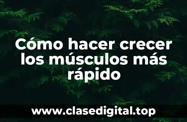 Cómo hacer crecer los músculos más rápido