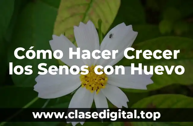 Cómo Hacer Crecer los Senos con Huevo