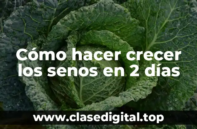 Cómo hacer crecer los senos en 2 días