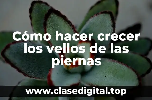 Cómo hacer crecer los vellos de las piernas