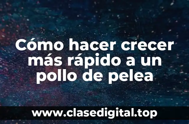 Cómo hacer crecer más rápido a un pollo de pelea