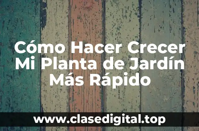 Cómo Hacer Crecer Mi Planta de Jardín Más Rápido