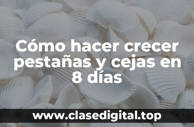 Cómo hacer crecer pestañas y cejas en 8 días