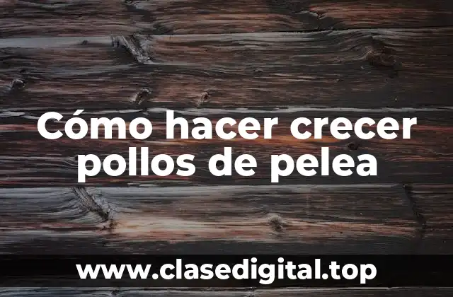 Cómo hacer crecer pollos de pelea